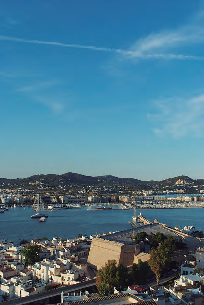 Part central de la badia d'Eivissa, 2011 (G. Móra i Ferragut).