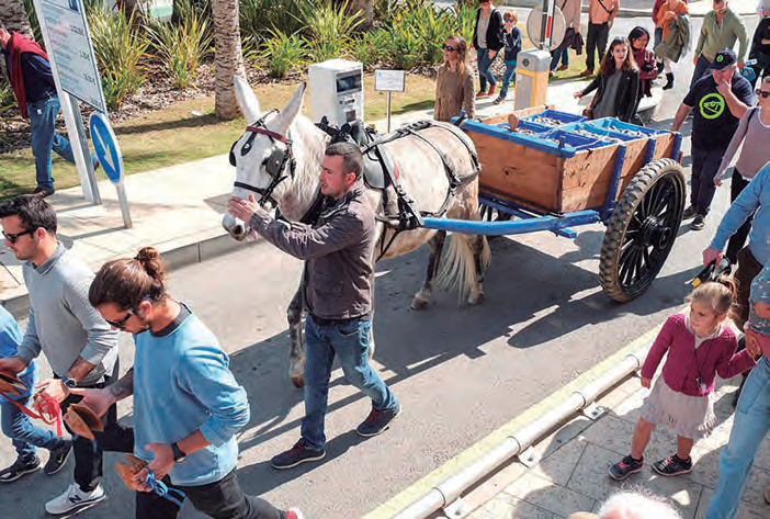 Arribada del peix amb el carro. Fira des gerret, 2019. Santa Eulària des Riu. Font: Diario de Ibiza.