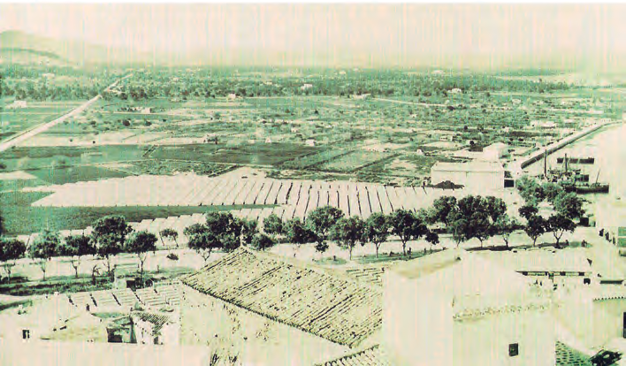 S'Alamera, devers 1898, en part ocupada pels blocs de pedra que s'havien extret des Clot Vermell (ses Figueretes) i que s'havien emprar en les obres del port. Al fons el prat de Vila i les hisendes properes (foto Narcís Puget. Col·lecció Patrimoni Reial).