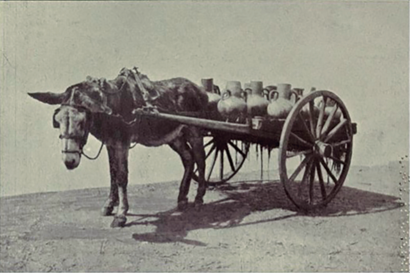 Margaret d'Este va captar un aspecte del sistema d'aprovisionament d'aigua a la ciutat d'Eivissa, un ús que cridava l'atenció de molts viatgers (Este: 1907).