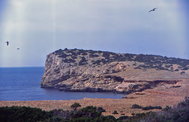 L'Estància de Fora vista des de la part de migjorn de sa Conillera.