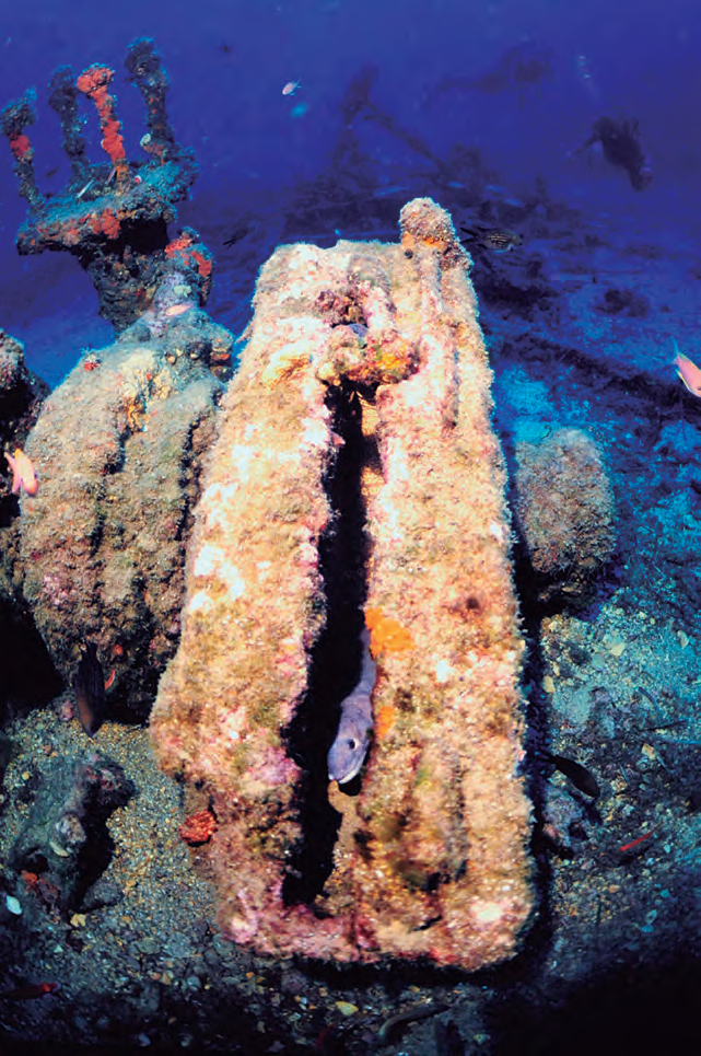 El molinet de l'àncora és un dels elements que sobresurten d'entre les restes del vaixell enfonsat (fotografia cortesia de Manel Royo Mayoral).