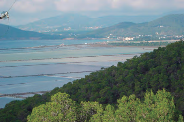 Salines d'Eivissa, estanys de la regió Grossa.