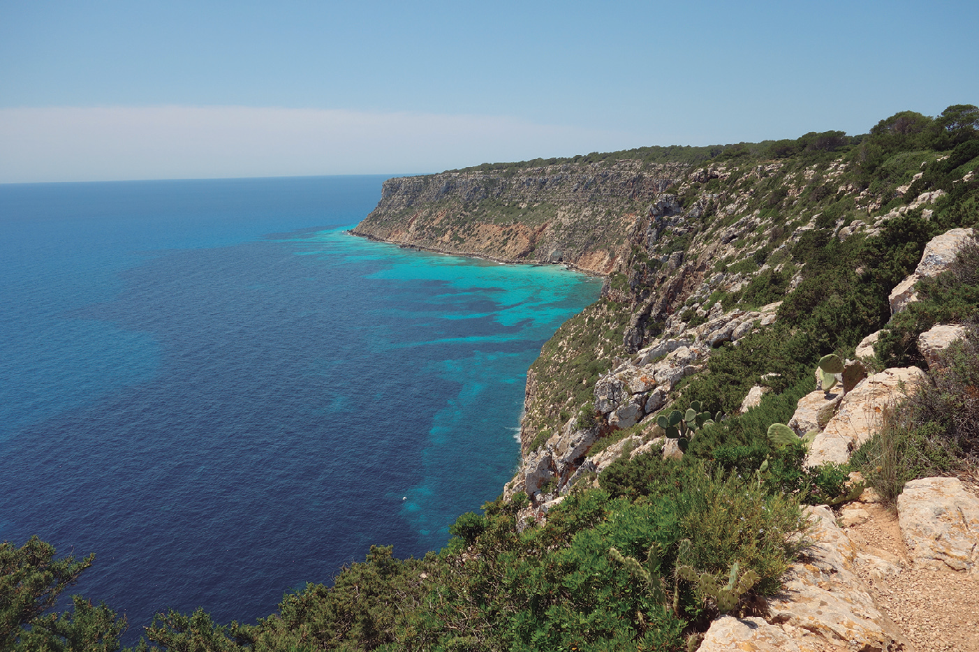 Formentera. La costa de tramuntana de la Mola, propera a sa Cala. Foto: Jaume Espinosa.
