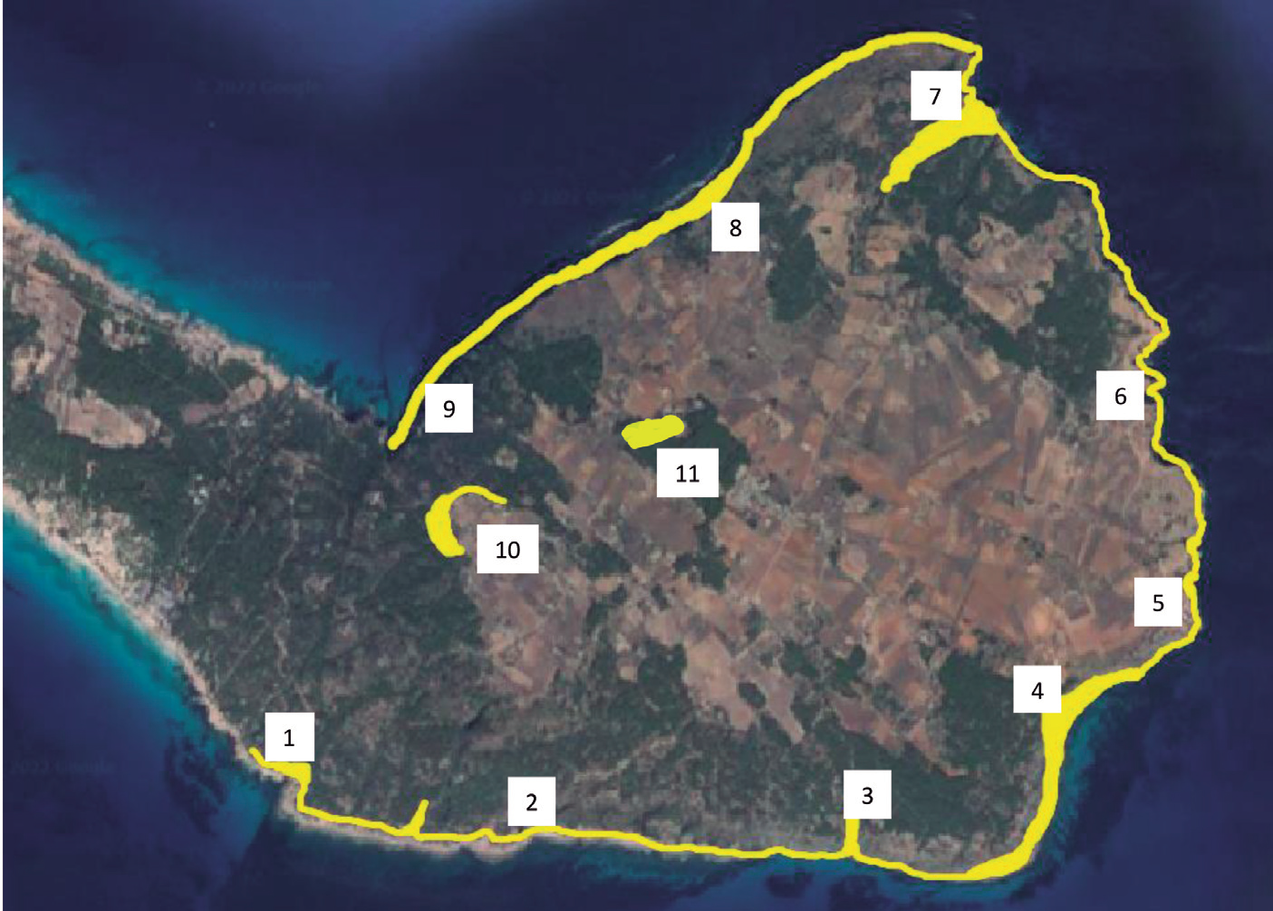 Mapa 1. Troballes de Roccella phycopsis Ach a la Mola de Formentera (illes Balears). En groc, la distribució aproximada del liquen. 1. Es Ram; 2. S'Estufador; 3. Torrent Fondo; 4. Es Codolar; 5. Far de la Mola; 6. La Xíndria; 7. Torrent de sa Fontanella; 8. Sa Cala de la Mola; 9. Es Caló; 10. Sa Talaia de la Mola; 11. El Pilar de la Mola.