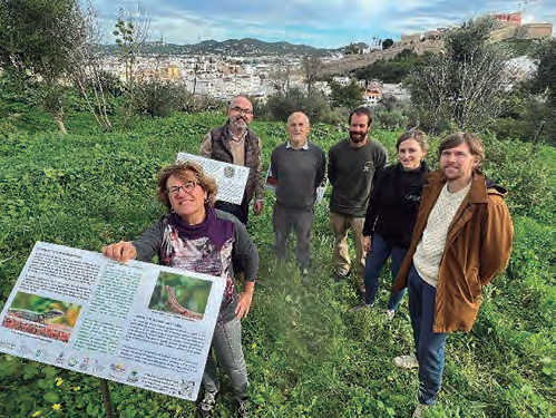 Moment de la presentació de la Reserva de Sargantanes des Puig des Molins - es Soto, el 14 de desembre de 2022. Les serps tenen difícil accés a la necròpolis des Puig des Molins, per això és un bon lloc per intentar mantenir-hi una població inalterada de sargantanes.