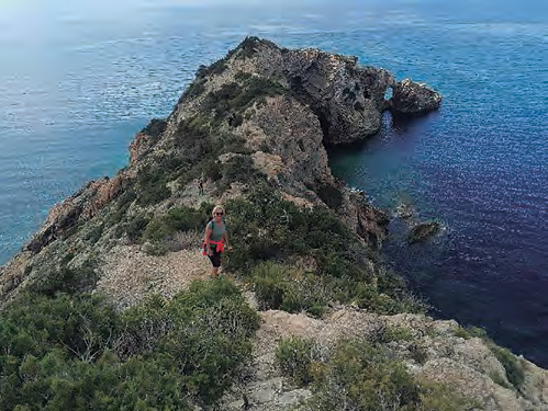 Si es posa una barrera antiserps per aïllar la punta des Jondal, obtindrem un espai Reserva de Sargantanes, amb les condicions ecològiques anteriors al segle XXI.