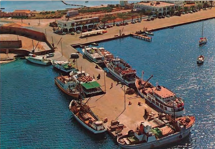 Vista aèria del port de la Savina, amb vaixells atracats.